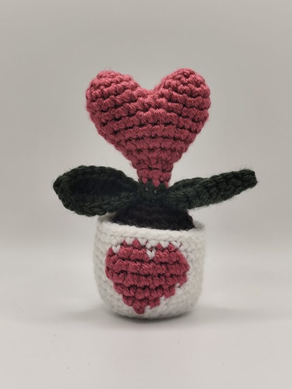 peluche plante cœur rose foncé