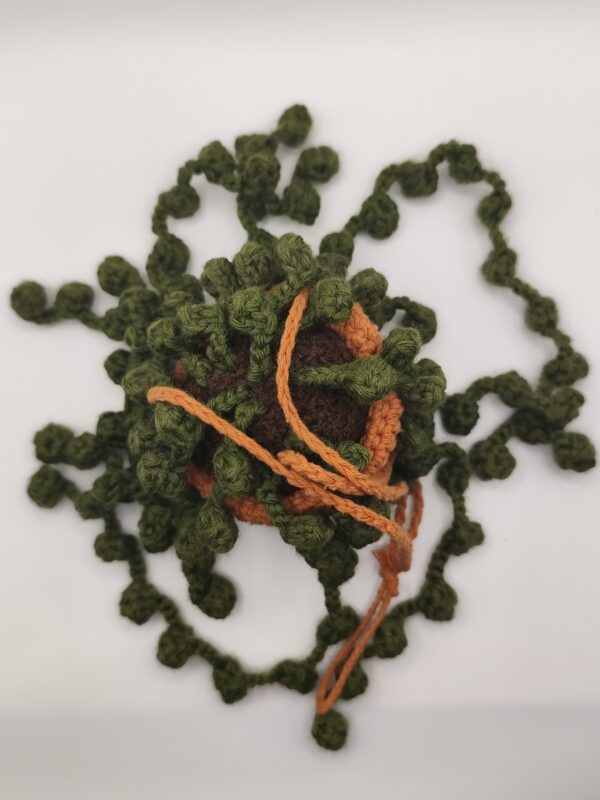 peluche plante descendant au crochet