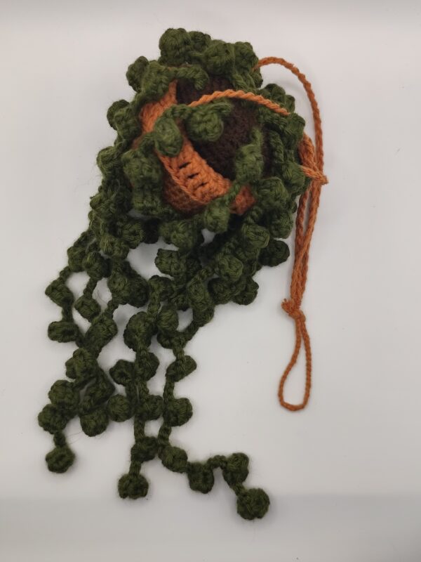 peluche plante descendant au crochet