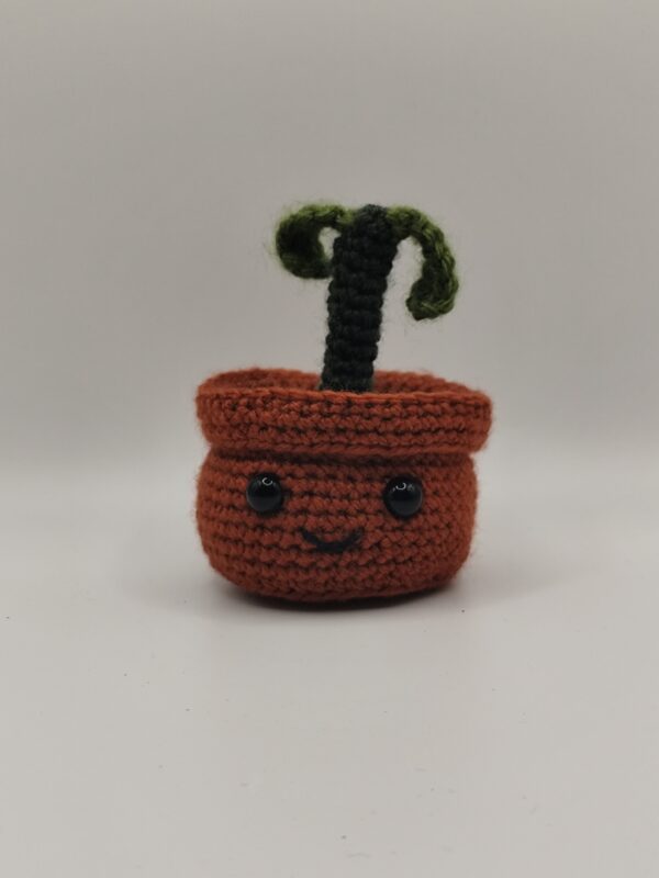 peluche plante grandissante en crochet