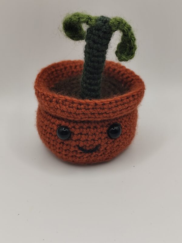 peluche plante grandissante en crochet