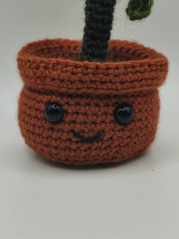 peluche plante grandissante en crochet, détail du visage